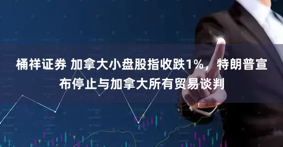 桶祥证券 加拿大小盘股指收跌1%，特朗普宣布停止与加拿大所有贸易谈判