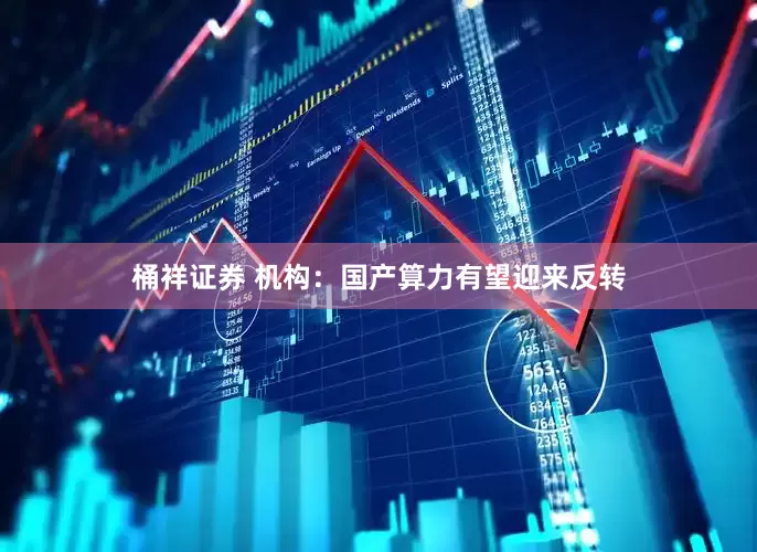 桶祥证券 机构：国产算力有望迎来反转