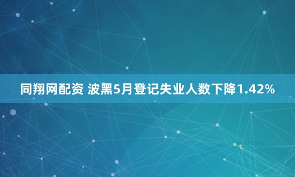 同翔网配资 波黑5月登记失业人数下降1.42%