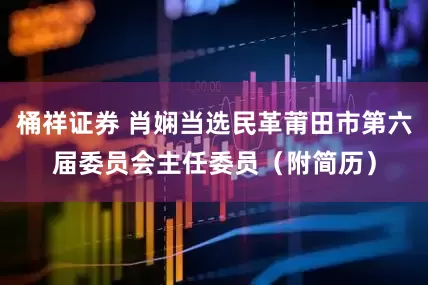 桶祥证券 肖娴当选民革莆田市第六届委员会主任委员（附简历）
