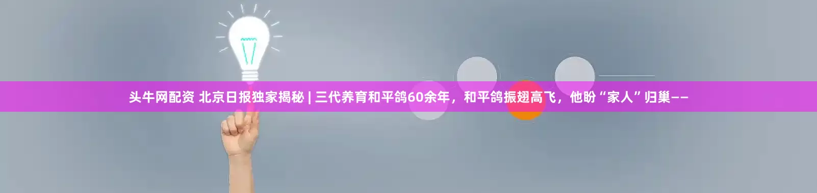 头牛网配资 北京日报独家揭秘 | 三代养育和平鸽60余年，和平鸽振翅高飞，他盼“家人”归巢——